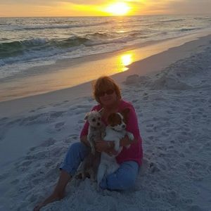 Meet your Posher, Debbie